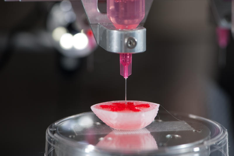 Hyun-Wook Kang, researcher at Wake Forest University Institute for Regenerative Medicine (WFIRM) , kidney printer, seeding cells on to a kidney scaffold, the printer seeds differnt types of cells onto various scaffolds including ear cartilage, bone(finger, and kidney.