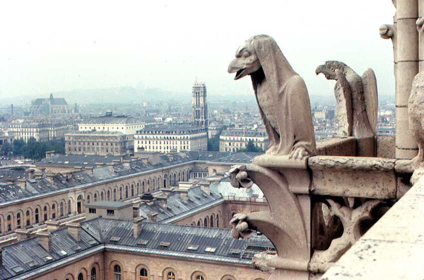 Notre Dame. Foto: Roger W.