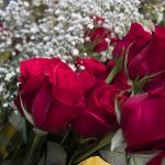 El arte del amor: escapadas románticas y flores
