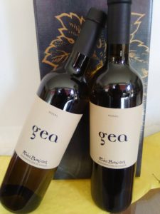 Comprar-Pack-2-botellas-de-vino-Albarino-Gea