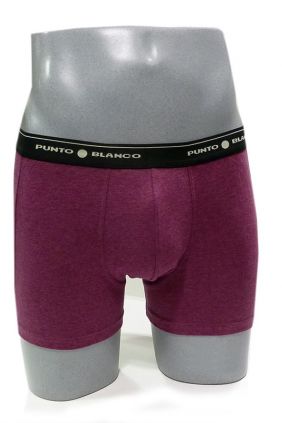 Pack calzoncillos Punto Blanco Boxer Basix 53438 40 579